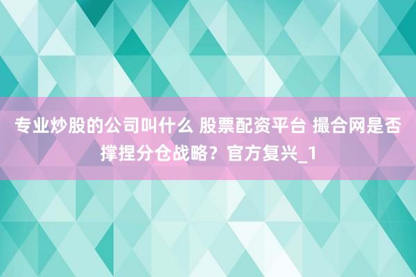 专业炒股的公司叫什么 股票配资平台 撮合网是否撑捏分仓战略?官方复兴_1